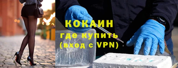 прущие грибы Бугульма