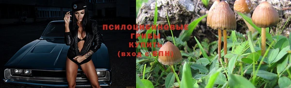 2c-b Богородицк
