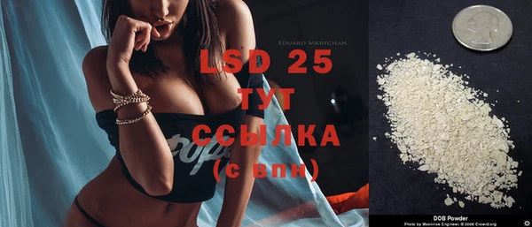шишки Бронницы