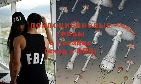 2c-b Богородицк