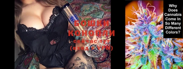 кокс Бородино