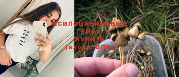2c-b Богородицк